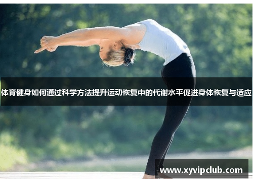 体育健身如何通过科学方法提升运动恢复中的代谢水平促进身体恢复与适应